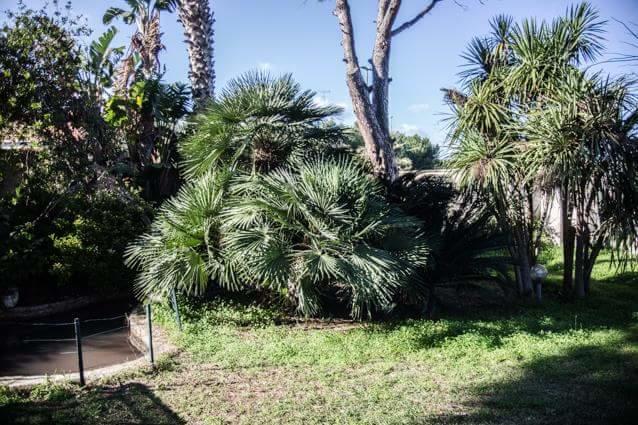 Casina Delle Arti Bed & Breakfast San Cataldo  Bagian luar foto